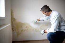 Trusted Portland, ME Mold Removal Experts